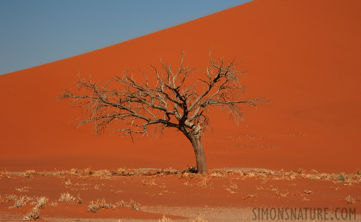 Namib-Naukluft National Park [98 mm, 1/320 sec at f / 11, ISO 400]
